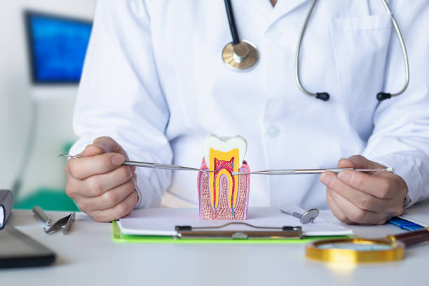 Best Walk-In Emergency Dental Services in Kent City, MI